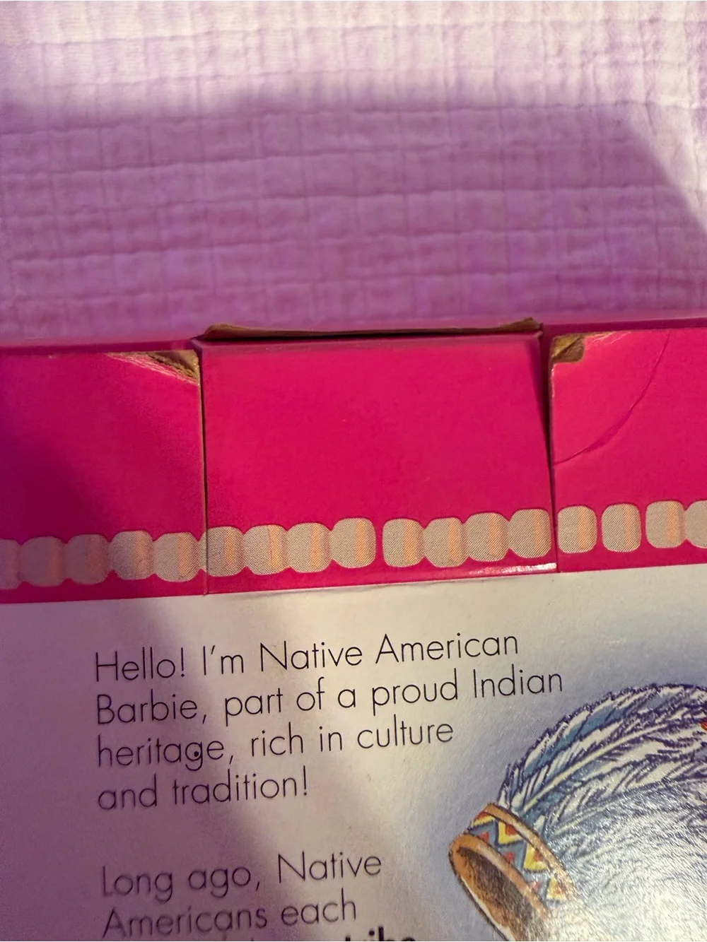 Barbie Native American Special Edition 1992 Dolls of the World #1753 Mattel NRFB